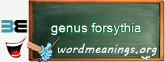 WordMeaning blackboard for genus forsythia